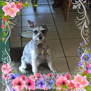 Meet your Posher, Sue blankenship